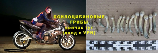 спиды Арсеньев