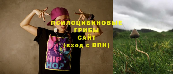спиды Арсеньев