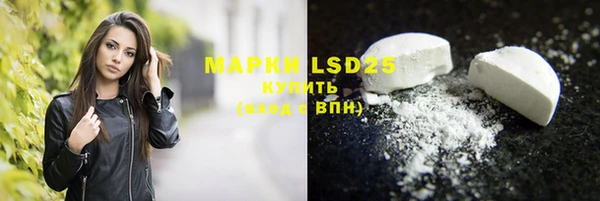 PSILOCYBIN Аркадак