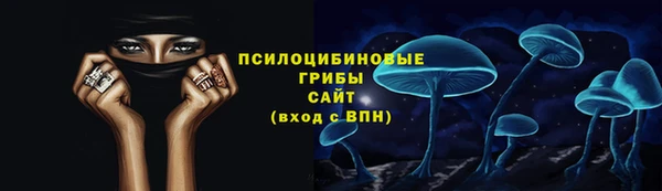 PSILOCYBIN Аркадак