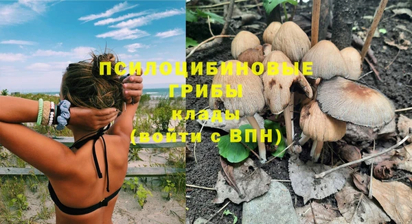 PSILOCYBIN Аркадак