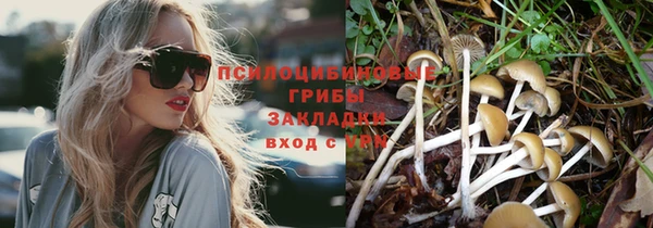 PSILOCYBIN Аркадак